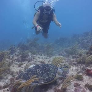 Meet your Posher, Andres